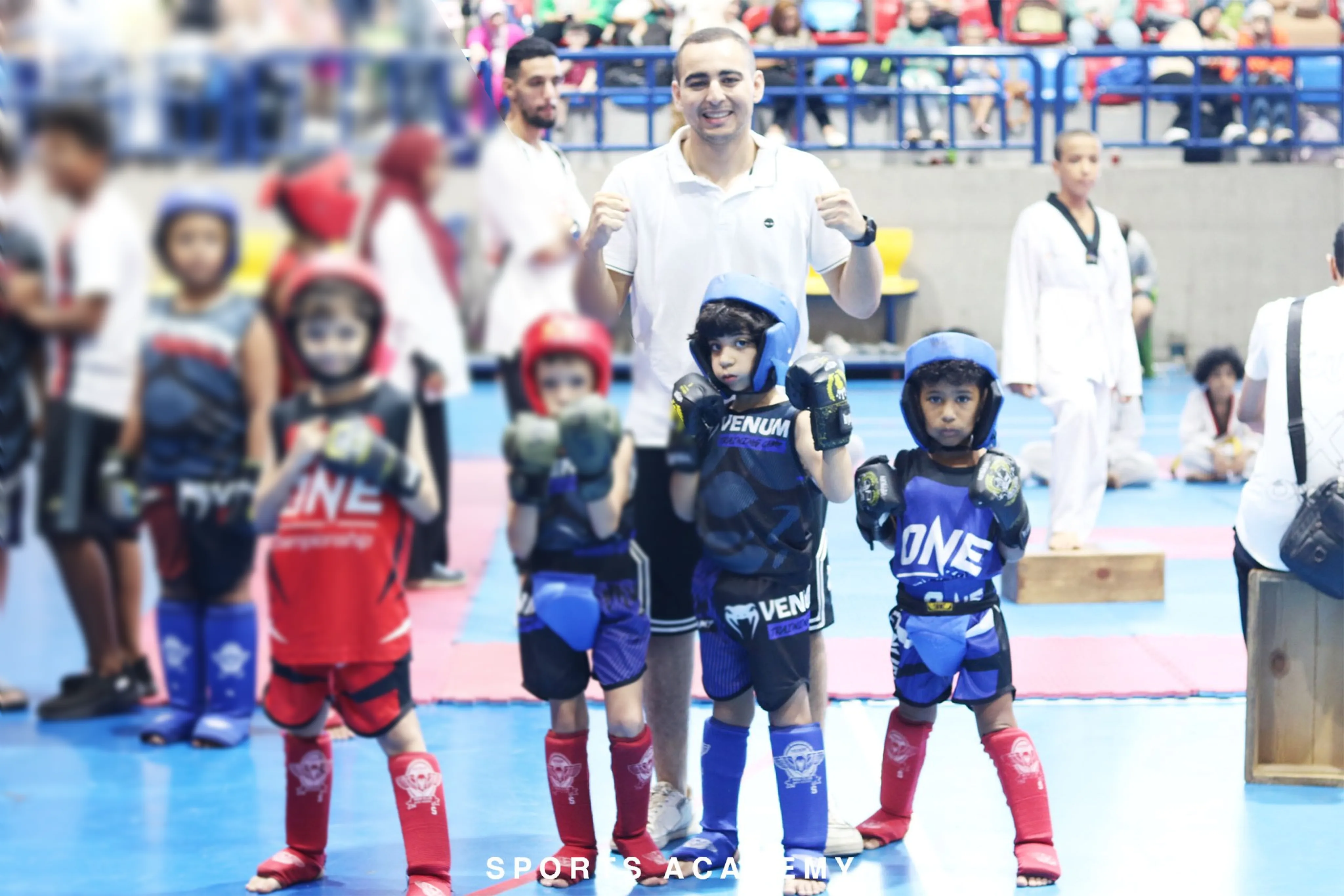 عن الكاراتيه